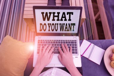 Conceptual hand writing showing What Do You Want. Business photo showcasing used for offering something to someone or asking their need woman with laptop smartphone and office supplies technology.