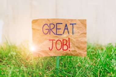 Word writing text Great Job. Business concept for sed for telling someone that they have done something well Crumpled paper attached to a stick and placed in the green grassy land.