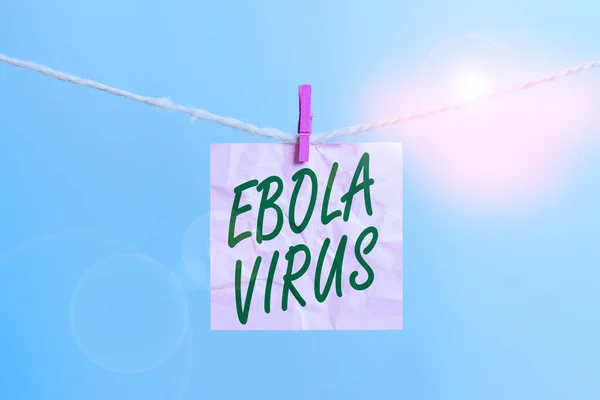 Πινακίδα που δείχνει τον ιό Έμπολα. Εννοιολογική φωτογραφία ιογενής αιμορραγικός πυρετός του huanalysiss και άλλων πρωτευόντων Clothesline clothespin ορθογώνιο χαρτί υπενθύμιση λευκό ξύλινο γραφείο. — Φωτογραφία Αρχείου