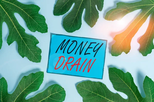 Writing note showing Money Drain. Business photo showcasing To waste or squander money Spend money foolishly or carelessly Leaves surrounding notepaper above empty soft pastel table.