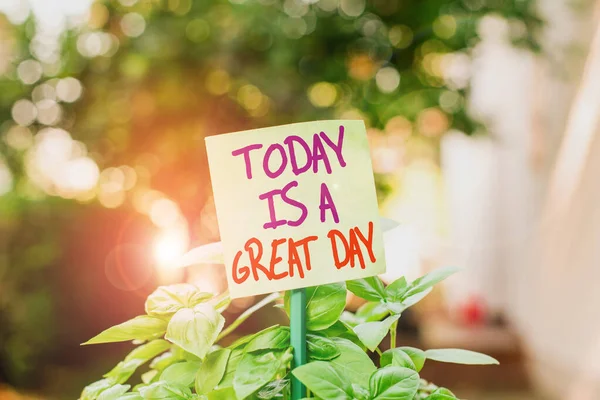 Handwriting text writing Today Is A Great Day. Concept meaning Enjoying the moment great weather Having fun Plain empty paper attached to a stick and placed in the green leafy plants. — Stock Photo, Image