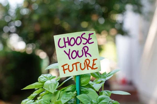 Handwriting text writing Choose Your Future. Concept meaning Choices make today will define the outcome of tomorrow Plain empty paper attached to a stick and placed in the green leafy plants. — 스톡 사진