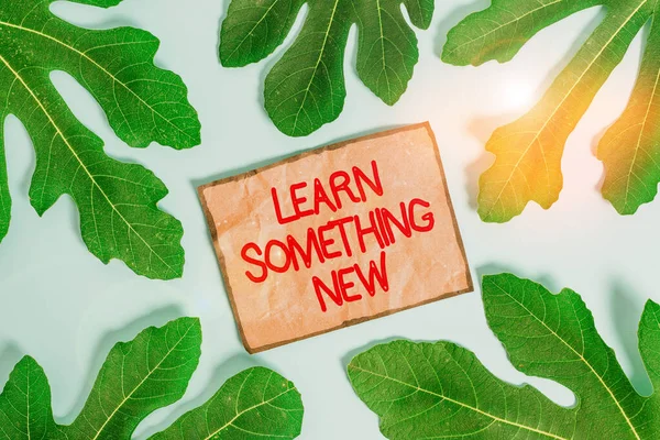 Writing note showing Learn Something New. Business photo showcasing being taught new subject activity Knowledge or sport Leaves surrounding notepaper above empty soft pastel table.