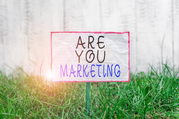 Signo de texto que muestra Are You Marketing. Foto conceptual Acciones para promover el producto de marca Ventas en el mercado Papel arrugado pegado a un palo y colocado en la tierra verde cubierta de hierba . — Foto de Stock