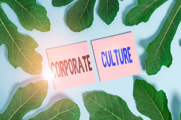 Text sign showing Corporate Culture. Conceptual photo pervasive values and attitudes that characterize a company Leaves surrounding notepaper above an empty soft pastel table as background.
