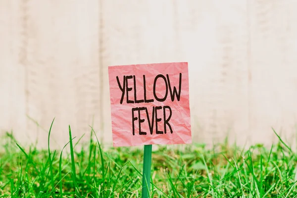 Εννοιολογικά χειρόγραφα που δείχνουν κίτρινο πυρετό. Business photo text τροπική ασθένεια του ιού που επηρεάζει το ήπαρ και τα νεφρά Απλό χαρτί που συνδέονται με το ραβδί και τοποθετούνται στην χλοώδη γη. — Φωτογραφία Αρχείου
