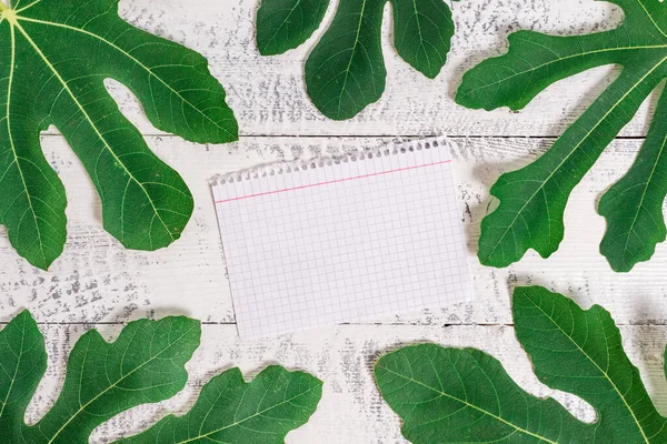 Papír felett elhelyezett klasszikus fa asztal között zöld levelek. Levél körülvevő jelölés papír lap a fa hátterén.Művészeti módja elrendezése lapos fekteti fotózás — Stock Fotó