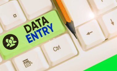 Word writing text Data Entry. Business concept for process of inputting data or information into the computer.