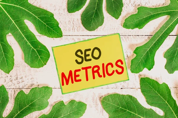 Handwriting text writing Seo Metrics. Concept meaning measure the perforanalysisce of website for organic search results Leaves surrounding notepaper above a classic wooden table as the background. — 图库照片