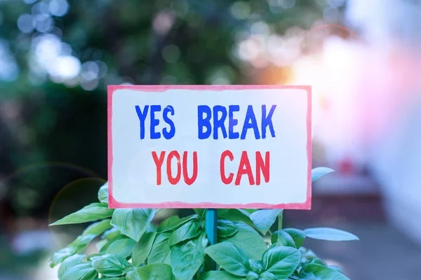 Teksten met ja break You Can. Conceptuele foto Positiviteit Aanmoediging Overtuiging Durf Vertrouwen Bekleding Plain leeg papier bevestigd aan een stok en geplaatst in de groene bladplanten. — Stockfoto