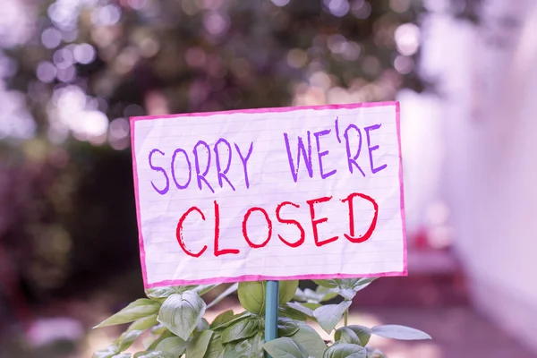Conceptual hand writing showing Sorry We Re Closed. Business photo showcasing Expression of Regret Disappointment Not Open Sign Plain paper attached to stick and placed in the grassy land. — Stock Photo, Image
