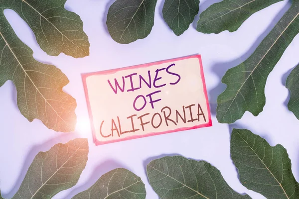 Text sign showing Wines Of California. Conceptual photo Best Winemakers in the USA Export Quality Beverage Leaves surrounding notepaper above an empty soft pastel table as background. — Stock Photo, Image