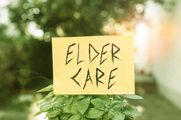 Handwriting text writing Elder Care. Concept meaning the care of older showing who need help with medical problems Plain empty paper attached to a stick and placed in the green leafy plants. — 스톡 사진