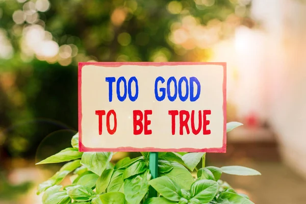 Text sign showing Too Good To Be True. Conceptual photo Extraordinarily Fantastic but Doubtful Unthinkable Plain empty paper attached to a stick and placed in the green leafy plants. — Stock Photo, Image