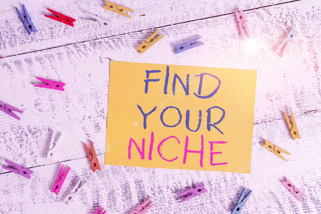 Conceptual hand writing showing Find Your Niche. Business photo text Market study seeking specific potential clients Marketing Colored clothespin rectangle shaped paper blue background.