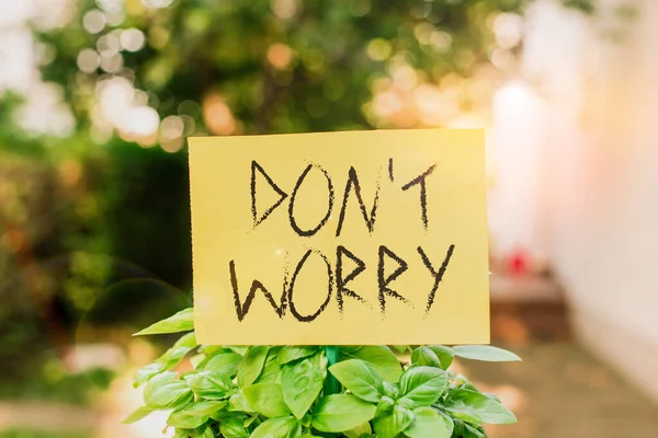 Handwriting text writing Don T Worry. Concept meaning used to say for trying to make someone less nervous or upset Plain empty paper attached to a stick and placed in the green leafy plants.