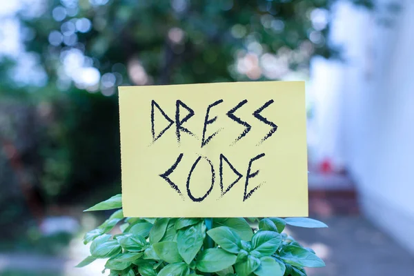 Handwriting text writing Dress Code. Concept meaning an accepted way of dressing for a particular occasion or group Plain empty paper attached to a stick and placed in the green leafy plants.