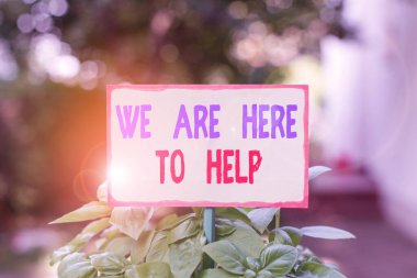 Text sign showing We Are Here To Help. Conceptual photo Someone who is always ready to Assist Support Give Plain empty paper attached to a stick and placed in the green leafy plants. clipart