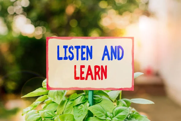 Text sign showing Listen And Learn. Conceptual photo Pay attention to get knowledge Learning Education Lecture Plain empty paper attached to a stick and placed in the green leafy plants.