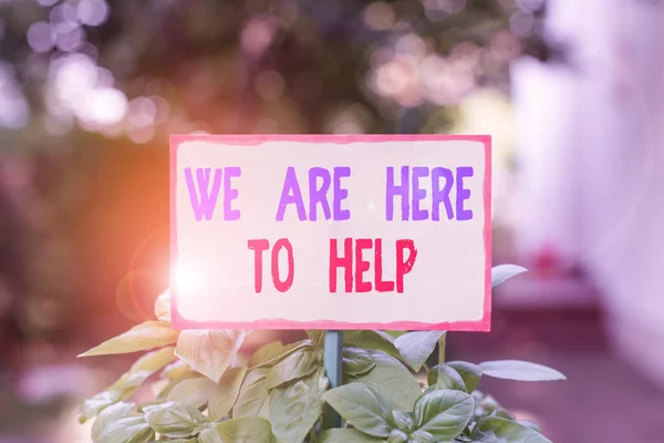 Text sign showing We Are Here To Help. Conceptual photo Someone who is always ready to Assist Support Give Plain empty paper attached to a stick and placed in the green leafy plants. — ストック写真
