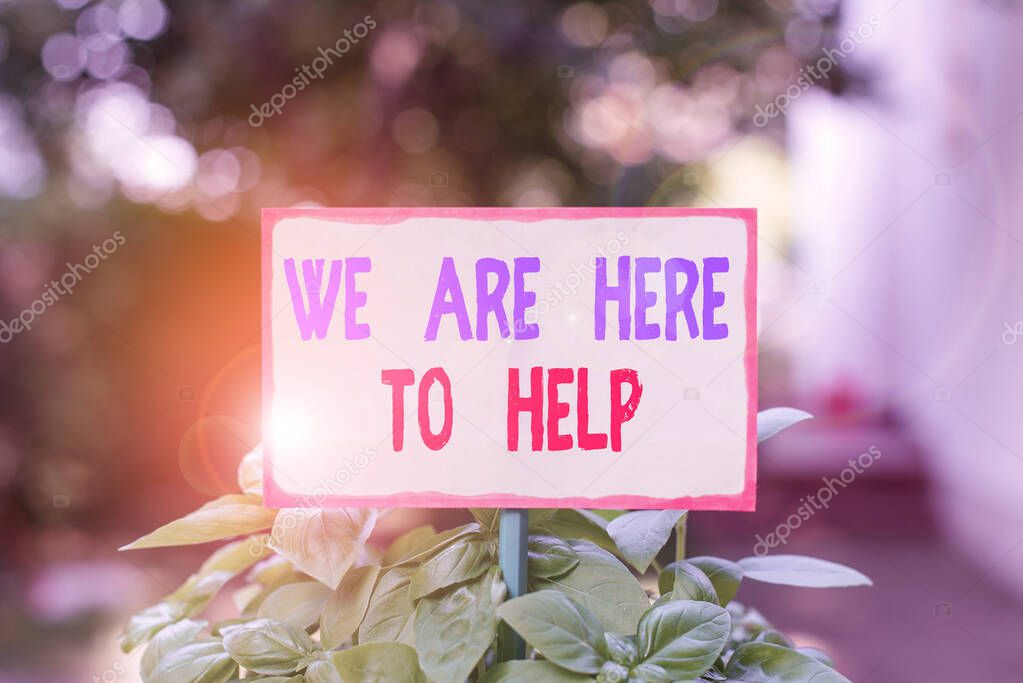 Text sign showing We Are Here To Help. Conceptual photo Someone who is always ready to Assist Support Give Plain empty paper attached to a stick and placed in the green leafy plants.