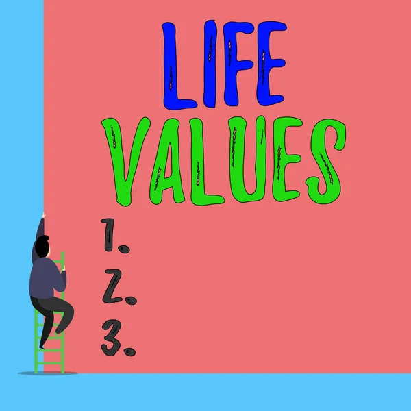 Texte manuscrit Life Values. Concept signifiant des choses que vous croyez importantes dans la façon dont vous vivez Vue de dos jeune homme montant l'échelle d'escalier couché grand rectangle vierge . — Photo