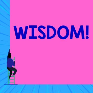 Text sign showing Wisdom. Conceptual photo the ability to use your knowledge and experience to make decisions Back view young man climbing up staircase ladder lying big blank rectangle.