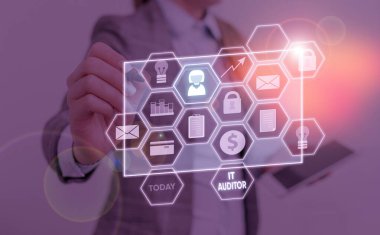 It Auditor 'u gösteren kavramsal el yazısı. Sistemin doğruluğunu incelemek ve doğrulamak için yetkilendirilmiş iş fotoğrafı gösterimi.