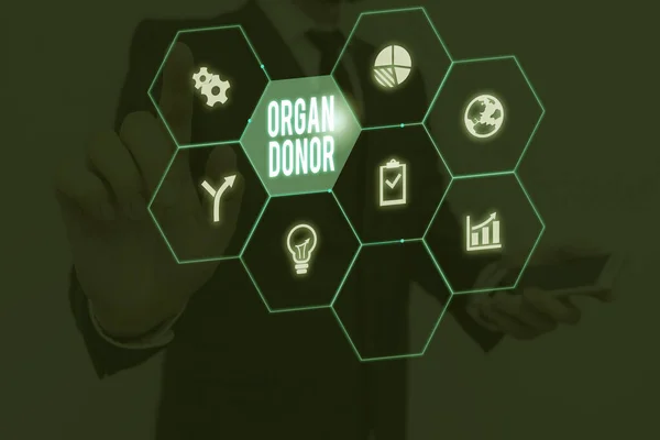 Text sign showing Organ Donor. Conceptual photo the act of donating an organ to a demonstrating needed a transplant.