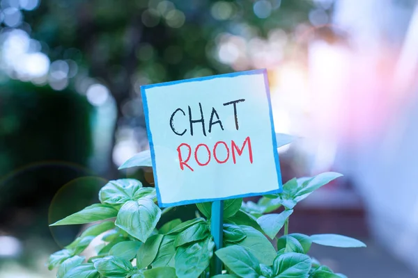 Écriture conceptuelle montrant Chat Room. Zone de texte de la photo d'affaires sur l'Internet ou le réseau informatique où les utilisateurs communiquent Papier ordinaire attaché au bâton et placé dans la terre herbeuse . — Photo