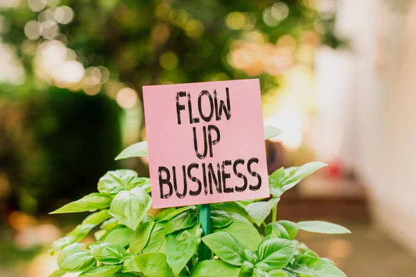 Sms-bord met Flow Up Business. Conceptuele foto geld dat beweegt in en uit uw bedrijven Plain leeg papier bevestigd aan een stok en geplaatst in de groene bladplanten. — Stockfoto