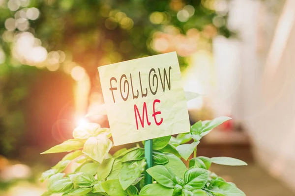 Text sign showing Follow Me. Conceptual photo Inviting a demonstrating or group to obey your prefered leadership Plain empty paper attached to a stick and placed in the green leafy plants. — 图库照片