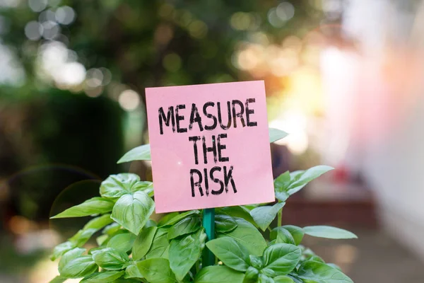 Signo de texto que muestra Medir el riesgo. Foto conceptual determinar el grado de peligro basado en los factores de impacto Papel vacío liso unido a un palo y colocado en las plantas de hoja verde . — Foto de Stock