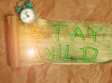 Writing note showing Stay Wild. Business photo showcasing keep being you and doing what you re doing Never want to change Alarm clock and torn cardboard on a wooden classic table backdrop.
