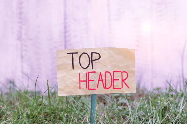 Handwriting text writing Top Header. Concept meaning text at the top of a page in an electronic document or hard copy Plain empty paper attached to a stick and placed in the green grassy land.