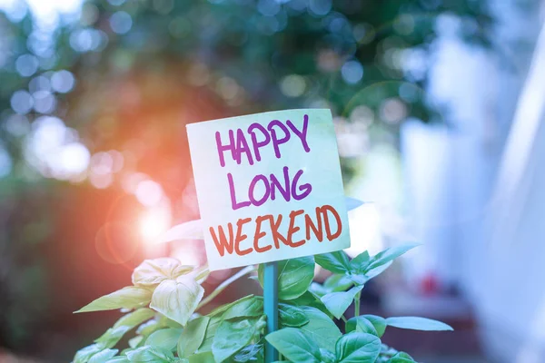 Handschrift tekst schrijven Happy Long Weekend. Concept betekent iemand een fijne vakantie wensen Reis naar vakantie Plain leeg papier bevestigd aan een stok en geplaatst in de groene bladplanten. — Stockfoto