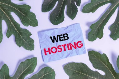 Web sunuculuğunu gösteren kavramsal el yazısı. Depolama alanı ve web siteleri için erişim sağlama iş fotoğrafı işi boş yumuşak pastel tablo üzerinde not kağıdı çevrili bırakırlar.