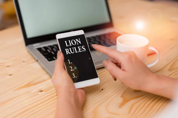 Conceptual hand writing showing Lion Rules. Business photo text epitome of strength power and masculinity Master of own domain woman with laptop smartphone and office supplies technology. — ストック写真