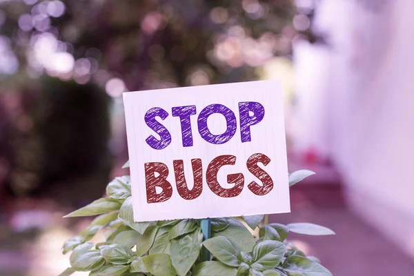 Woord schrijven tekst Stop Bugs. Zakelijk concept voor Ontdoe je van een insect of soortgelijk klein schepsel dat bloed zuigt Plain leeg papier bevestigd aan een stok en geplaatst in de groene bladplanten. — Stockfoto