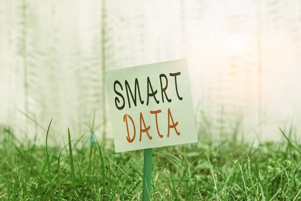 Text sign showing Smart Data. Conceptual photo digital information that is formatted for further consolidation Plain empty paper attached to a stick and placed in the green grassy land. — 스톡 사진