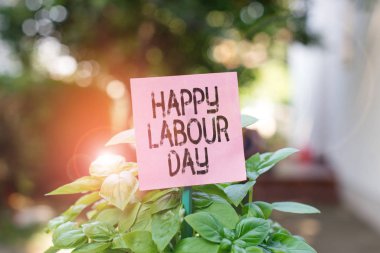 Text sign showing Happy Labour Day. Conceptual photo annual holiday to celebrate the achievements of workers Plain empty paper attached to a stick and placed in the green leafy plants. clipart