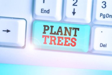 Conceptual hand writing showing Plant Trees. Business photo showcasing process of planting a tree for land cultivation and forestry.