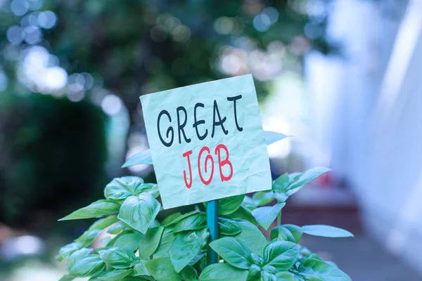 Segno di testo che mostra Great Job. Foto concettuale utilizzato lodando qualcuno per qualcosa che hanno fatto molto bene Carta vuota semplice attaccato ad un bastone e posto nelle piante a foglia verde . — Foto Stock