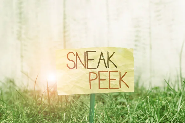Handwriting text writing Sneak Peek. Concept meaning opportunity to see something before it is officially presented Plain empty paper attached to a stick and placed in the green grassy land. — Stockfoto