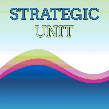 Stratejik Birimi gösteren metin işareti. Kavramsal fotoğraf kar merkezi ürün sunumu ve pazar segmentine odaklanmıştır. Dalgalı Soyut Tasarım Üç Ton Arka Plan Merkezinde İki Kıvrımlı Çizgiler ile.