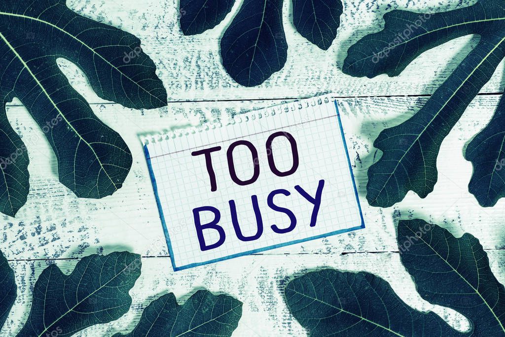 Text sign showing Too Busy. Conceptual photo No time to relax no idle time for have so much work or things to do.