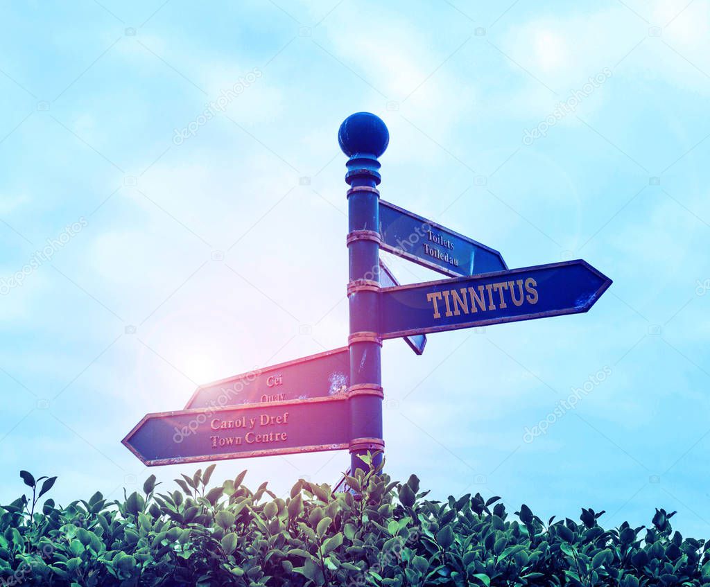 Handwriting text Tinnitus. Concept meaning A ringing or music and similar sensation of sound in ears Green road sign on the crossroads with blue sky and green grass in the background.