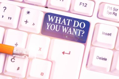 El yazısı metin Ne Soru İstiyor. Kavram anlamı söylemek veya yazmak amacıyla beyaz arka plan tuşu kopyalama alanı üzerinde boş not kağıdı ile beyaz pc klavye bir şey hakkında gösteren sormak için.