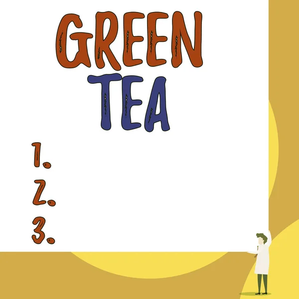 Yeşil Çay 'ı gösteren kavramsal el yazısı. Kamelya sinensis yaprakları ve tomurcuklarından yapılan iş fotoğrafı sergilenen çay. İki elini de sağ köşesinde tutan genç kadın büyük dikdörtgen.. — Stok fotoğraf
