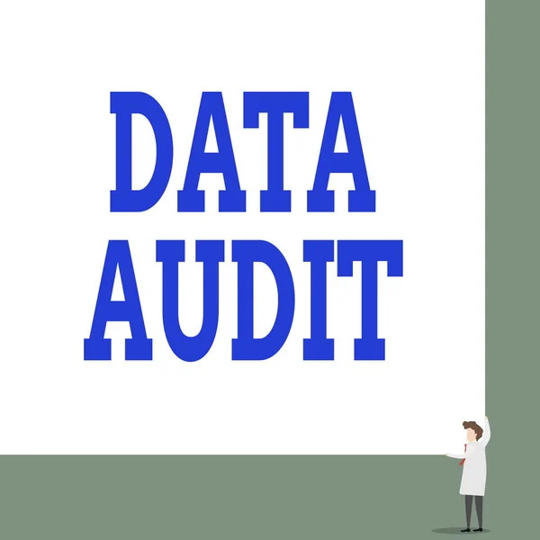 Tekstbord met Data Audit. Conceptuele foto auditing van gegevens om de kwaliteit ervan te beoordelen voor een specifiek doel Front view jonge vrouw met twee handen rechts hoek grote lege rechthoek. — Stockfoto